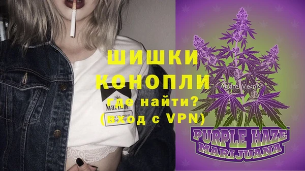 бутират Белокуриха