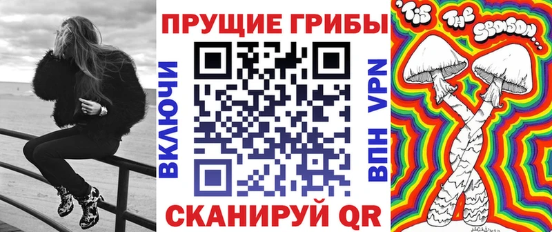 кракен ONION  Курганинск  Псилоцибиновые грибы Cubensis 