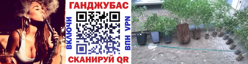 Бошки Шишки SATIVA & INDICA  Курганинск 